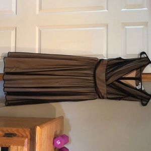 Black sheer dress with nude underlay